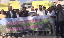 Adıyamanlı tütün üreticilerinden hükümete çağrı: “Emeğimizin karşılığını istiyoruz”