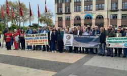 Ordu’da çevreciler mahkemeye rağmen kıyı dolgularına karşı çıktı