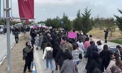 Rojin Kabaiş dosyasında yeni DNA bulguları: Van’da kadınlardan adalet çağrısı