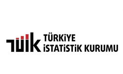TÜİK ilk kez açıkladı: Girişimlerin yüzde 7,5’i yapay zekâ kullanıyor