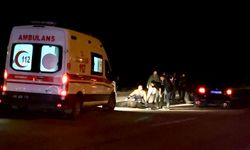 Malatya-Adıyaman Karayolunda Feci Kaza: Yolun Karşısına Geçen Yaya Hayatını Kaybetti