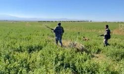 Malatya'da av sezonu sıkıntılı başlıyor: Avcılardan çağrı