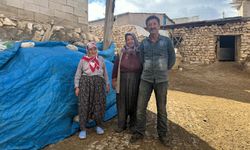 Yem Fiyatları Uçtu, Üretici Zor Durumda