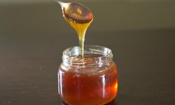 Doğu Karadeniz’den 10 Ayda 414 Ton Bal İhracatı Yapıldı