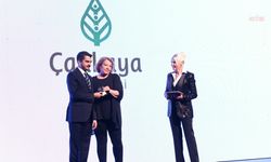 36. Ankara Film Festivali Başladı: Onur Ödülleri Sahiplerini Buldu