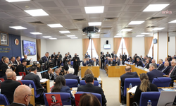 DEM Partili Tiryaki’den Kayyum Çağrısı