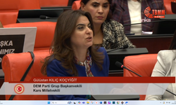 DEM Parti’den Bakan Ersoy’a Sert Eleştiri: Kartalkaya Yangını ve Alevilik Vurgusu