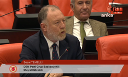 Sezai Temelli’den Sert Eleştiriler: “Sürekli Anayasa İhlalleriyle Karşı Karşıyayız”