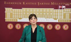 Beştaş’tan parti raporlarına eleştiri: “Barış dememek için kırk dereden su getiriliyor”