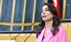 DEM Parti’den Dünya Madenciler Günü Mesajı: “Kölece Çalıştırma Sistemi Ölüm Getiriyor”