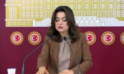 DEM Parti’den TBMM’ye “Barış Yasası” çağrısı: Kalıcı barış için hukuk vurgusu