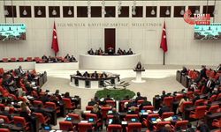 Tülay Hatimoğulları’ndan bütçe eleştirisi: “Cumhuriyet’in eksik bırakılan Kürt meselesi tamamlanmalıdır”