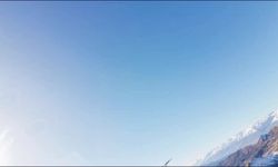 Tunceli’de Kartal Dronu Havada Kapıp Dağın Zirvesine Bıraktı