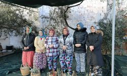 Edremit’te Meci Coşkusu