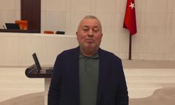 Enginyurt’tan Ordu Barınağı Tepkisi