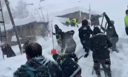 Van Çatak’ta Çığ Faciası: 61 Yaşındaki Gülnaz Bitik Hayatını Kaybetti