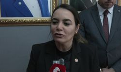 Ayyüce Türkeş Taş: Türkiye depremle barışık bir ülke olmak zorunda