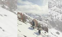 Basak Mahallesi sakinleri dağ keçileri için 1680 rakıma yem taşıdı