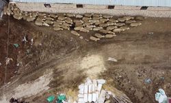 Malatya’da kuzular anneleriyle buluştu: Üreticiler umutlu