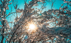 Ocak Ayı Sıcak Geçti