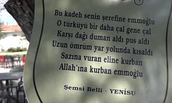 Arguvan’da ozanların dörtlükleri ağaçlarda yaşatılıyor