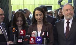 DEM Parti’den "İmralı" Açıklaması: "Öcalan İçin Yeni Konut Yapıldı Ama Mesele Statü!"