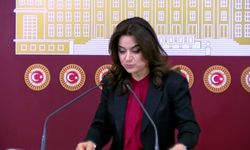 Koçyiğit: 27 Şubat Çağrısı, Türkiye’de Hızlı Demokratik Adımlar Gerektiriyor