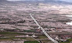 Kayısı Cenneti Malatya Beyaza Büründü: Çiçekler Kartpostallık Görüntüler Oluşturdu