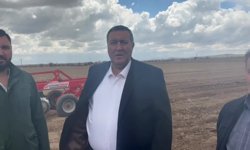 Çiftçiden Sert Uyarı: "Mazot Kadar Ekeceğim!" Domateste Büyük Tehlike: Tezgahta Fiyatlar Uçabilir!