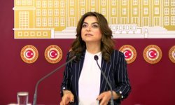 DEM Partili Koçyiğit'ten Gülistan Doku Çıkışı: "Sadece Vali Değil, Süleyman Soylu da Sorgulanmalı!"