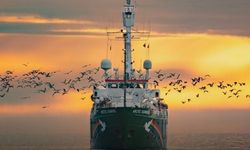 Greenpeace'in İkonik Gemisi Gazze Yolunda! Arctic Sunrise "Sumud Filosu"na Katılıyor!