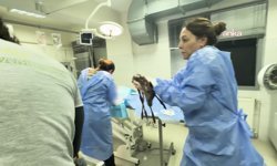 İzmir'de Mucize Kurtuluş: Öldü Sanılan Yavru Ceylan Suni Solunumla Hayata Döndü!