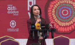 "Korkarak Barış Eli Uzatılmaz": DEM Parti lideri Hatimoğulları'ndan Ankara-Amed Hattında Tarihi Çağrı!
