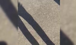 Malatya'da eski eşinin av tüfeğiyle vurduğu kadın hayatını kaybetti