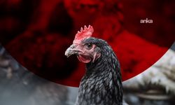 Beyaz Ette Yaz Fırsatçılarına Tokat Gibi Ceza: Bakanlık Düğmeye Bastı, Milyonlarca Lira Ceza Yağdı!