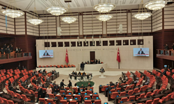 "Bu Teklif Madımak'ta Çalınan Yaşamlara Borcumuzdur!" Aliye Timisi Ersever'den TBMM'de Tarihi Çağrı