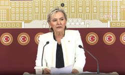 CHP'de Flaş İstifa Depremi: Nimet Özdemir "Gördüğüm Lüzum Üzerine" Diyerek Yolları Ayı