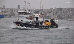 Türkiye'nin su ürünleri rekor kırdı: Denizlerden ve havuzlardan milyon tonluk dev üretim