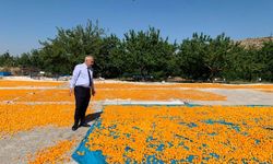 Malatya’da Tarımsal Üretime Sahada Destek: İl Müdürü Osman Akar’dan Darende Ziyareti