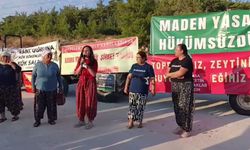 Akbelen Ormanı'nda 7554 Sayılı Yasaya Tepki: "Şirketlerin Yasasını Tanımıyoruz"