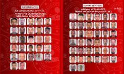 Kaçış Bitti: Uluslararası ve Ulusal Arama Kaydı Bulunan 65 Suçlu Türkiye'ye İade Edildi!