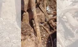 TOKİ İnşaatında Korkunç Keşif! Kepçe Yere Vurdukça İskelet Çıktı: Sır Dolu Kemikler İncelemede