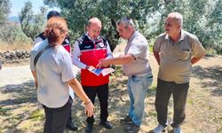 Üretici Kan Ağlıyor: Erdek'te Fırtına ve Dolunun Vurduğu Zeytinlikler İçin Seferberlik Başlatıldı!