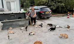 Rızkını sokaktaki canlarla paylaşıyor: "Ben bakmazsam bu canlara kim bakacak?"