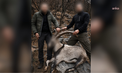 6 Yıl Sonra Gelen Adalet: Siirt'teki Yaban Keçisi Katliamcıları Yıllar Sonra Yakalandı!
