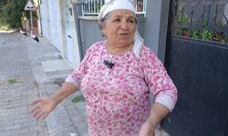 Yuvadan Düşen Yavruları Ciğerle Beslediler: Kapılarından Bir An Olsun Ayrılmıyorlar!