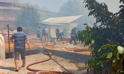 Darende Alevlere Teslim! Evlere Sıçrayan Yangın İçin Seferberlik İlan Edildi: Vali Yavuz Bölgeye Gidiyor
