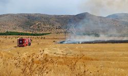 Yeşilyurt'taki Tarımsal AR-GE Sahasında Anız Yangını: 40 Dönümlük Alan Etkilendi