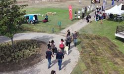 8 Bin 500 Yıllık Tarihe Yolculuk: Bursa'da Arkeofest Kapılarını Açtı!