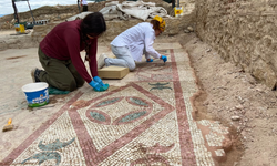 Pompeiopolis Antik Kenti’nde 105 Metrekarelik Roma Dönemi Mozaiği Gün Yüzüne Çıkarıldı